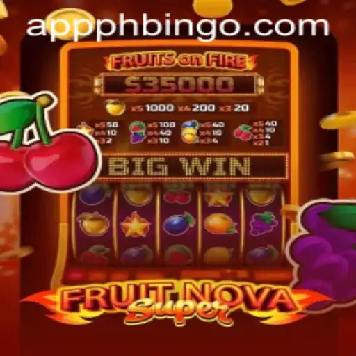 Exploring FruitNovaSuper: The Dynamic Gaming Experience with a Twist of PHBINGO