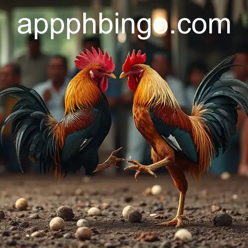 Exploring Sabong Games: Tradition Meets Modern Innovation with PHBINGO